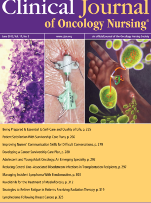 Number 3 / June 2013 cover image